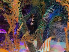 -沈阳海洋探索中心