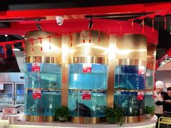 水产区-蜀滋香鲜鱼美蛙火锅(339店)