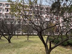 -上海大学(宝山校区)