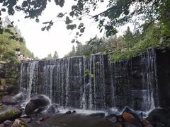 -汤旺河林海奇石景区