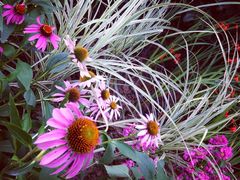 iphone_upload_pic-运河游船(武林门码头)