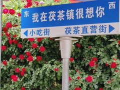-茯茶镇