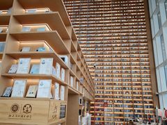 -朵云书院(滴水湖店)