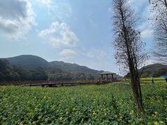 -广州市石门国家森林公园