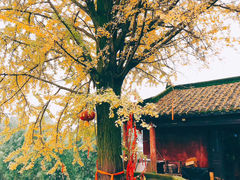 -佛荫寺