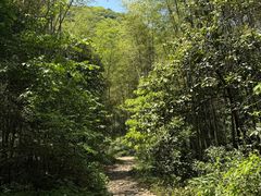 -午潮山国家森林公园