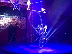 -珠海横琴长隆《卡卡虎奇遇记》