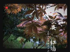 -Supine Bistro溯泮餐厅