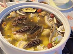-菌林天下·野生菌汤锅