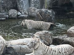 -北京野生动物园