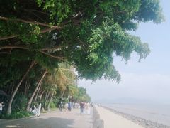 -深圳湾公园(南山区)