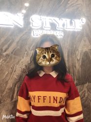 -IN STYLE·全国形象店