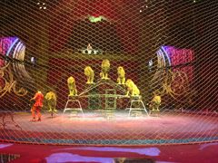 -珠海横琴长隆《卡卡虎奇遇记》