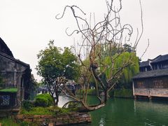 -乌镇西栅景区