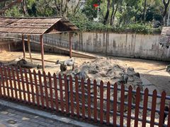 -深圳野生动物园