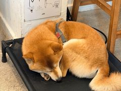 -三目仓咖啡(贤南路店)