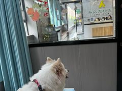 -半岛宠物医院24小时(西派城店)
