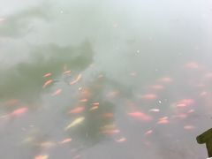 -金城公园