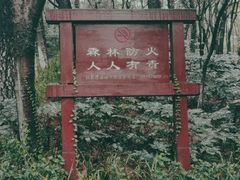 -杭州半山国家森林公园