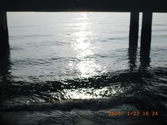 -演武大桥观景平台