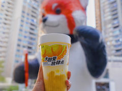 -树夏(成都招商大魔方店)