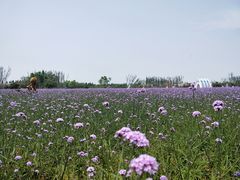景点-渔岛海洋度假区
