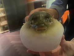 -肆月河豚·淮扬菜·湘菜(华天店)