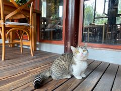 -IFIF 如果花園(宽厚里店)