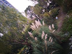 -南翔镇银翔湖公园