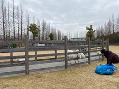 -前小桔亲子创意农场·草莓采摘·露营烧烤