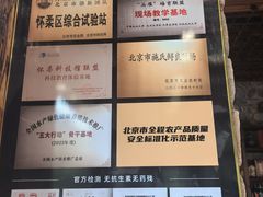 -天源渔港农庄