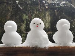 -西岭雪山大飞水景区