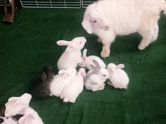 -永辉超市(嘉定宝龙广场店)