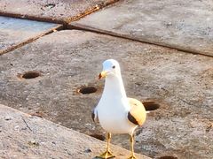 -星海广场
