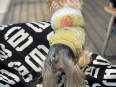 -小龍鳳餐室(番禺路店)