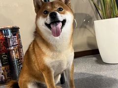-博纳私人订制健身(中集美兰湖店)