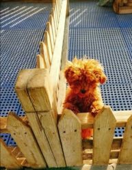 -萌宠亲子动物乐园(槐房万达店)