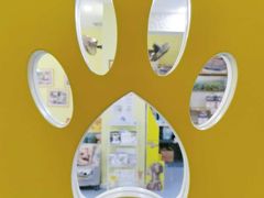 -瑞鹏宠物医院·爱宠堂·骨外专科(西荷分院)