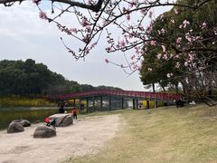 -美兰湖景区