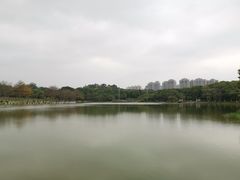 -东莞植物园