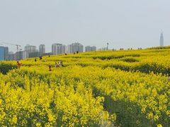 -三圣花乡旅游区