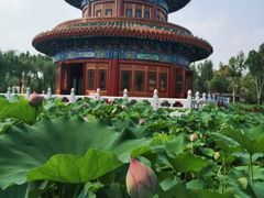 -大明幻境第一城
