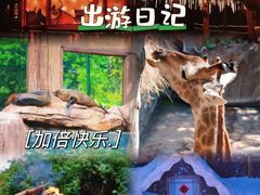-长鹿旅游休博园