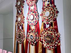 -青奢宠物·青奢猫舍