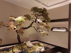 -湘上湘(米其林餐厅-正大中心总店)