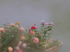 -人民公园(罗湖区)