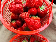 -红星农博物流中心