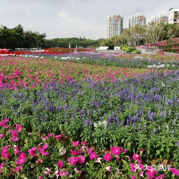 跑得越快越好，多出汗，多排毒。大伙儿觉得有道理