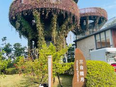 -芒洲湿地公园