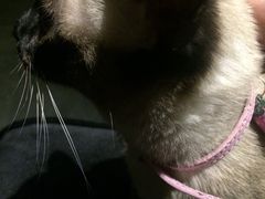 -吱咖啡西式简餐